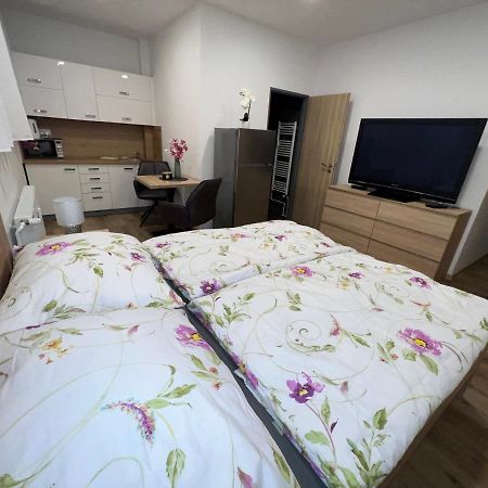 Apartmany U Jelena 1 Cesky Krumlov Exterior photo