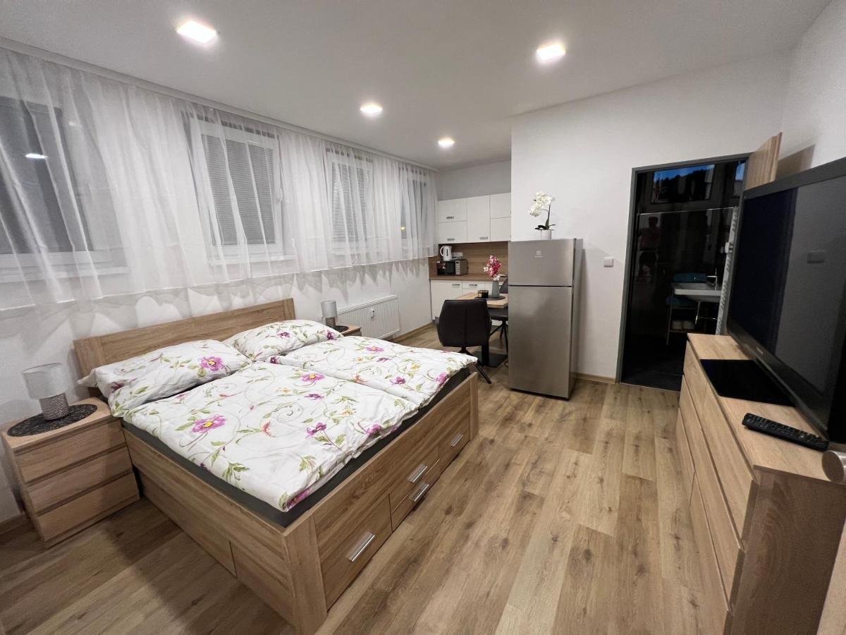 Apartmany U Jelena 1 Cesky Krumlov Exterior photo
